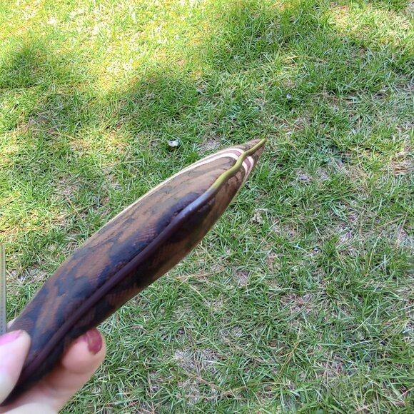 Coach Set Signature Jacquard Strips Zip Hobo Bag & Wristlet NWOT with Care Cards - Picture 4 of 13